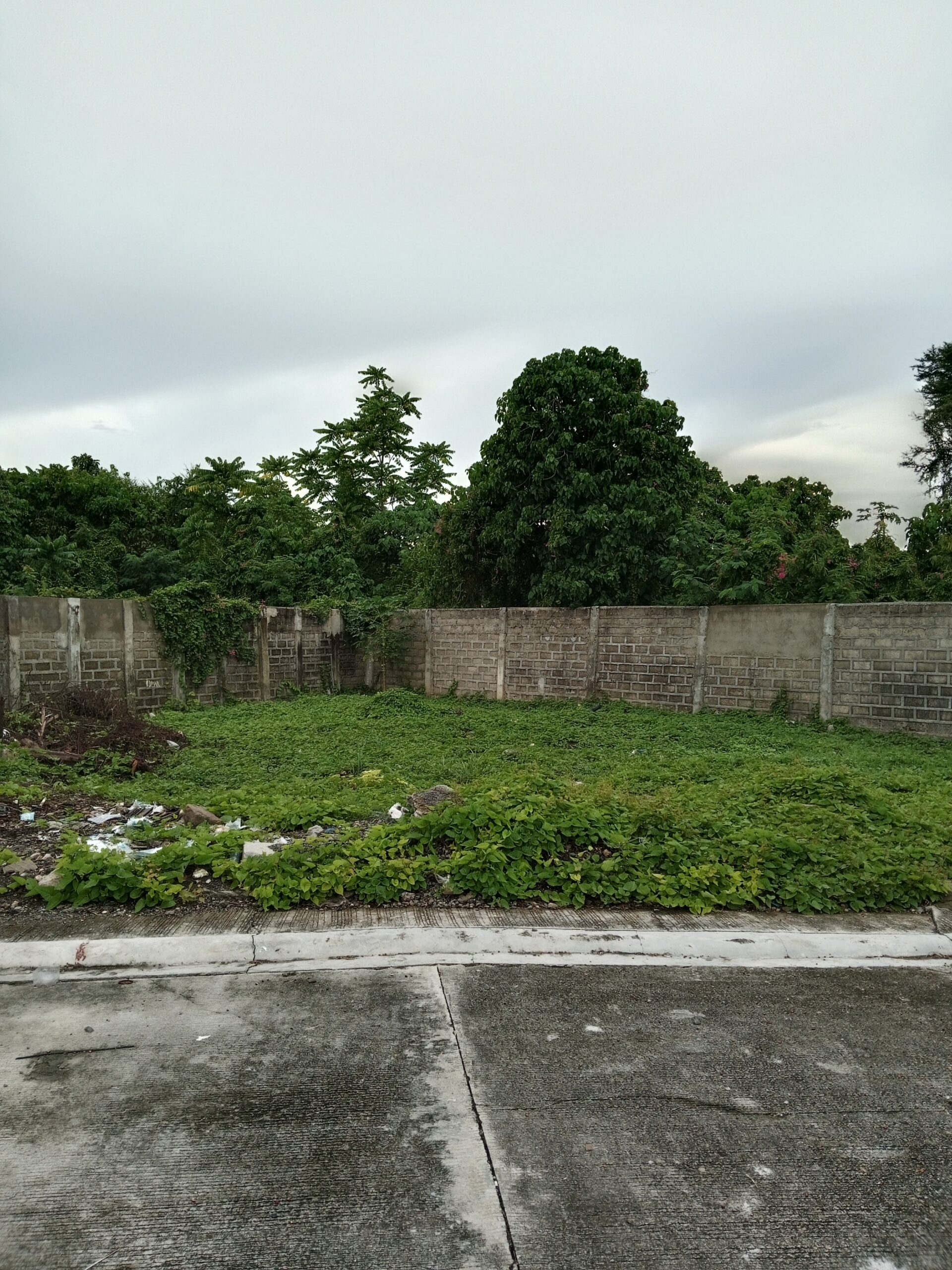 For Sale Lot in Pueblo San Ricardo Talisay