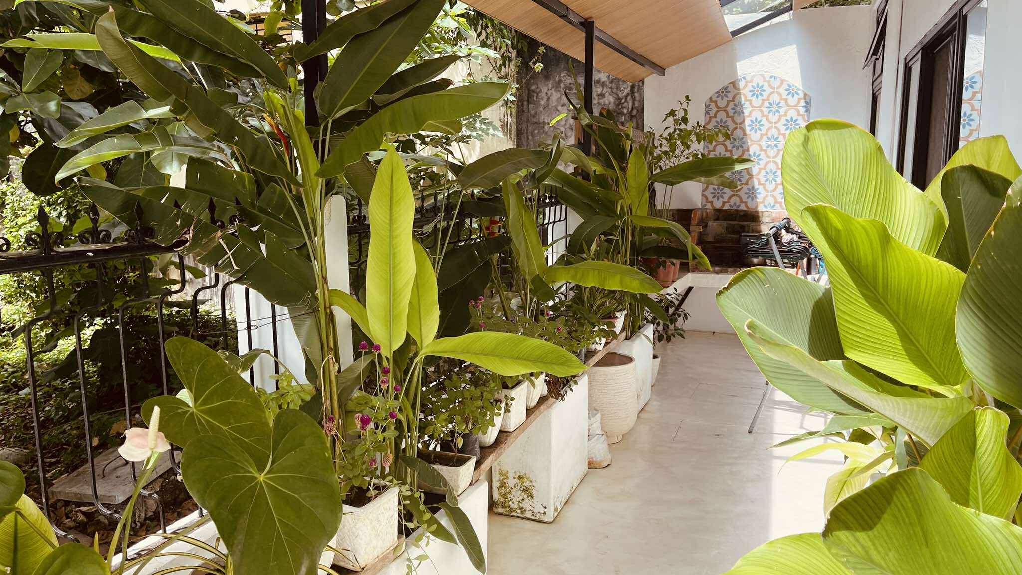 3-Bedroom Bali-Style Home with Private Jacuzzi Pool in Mactan